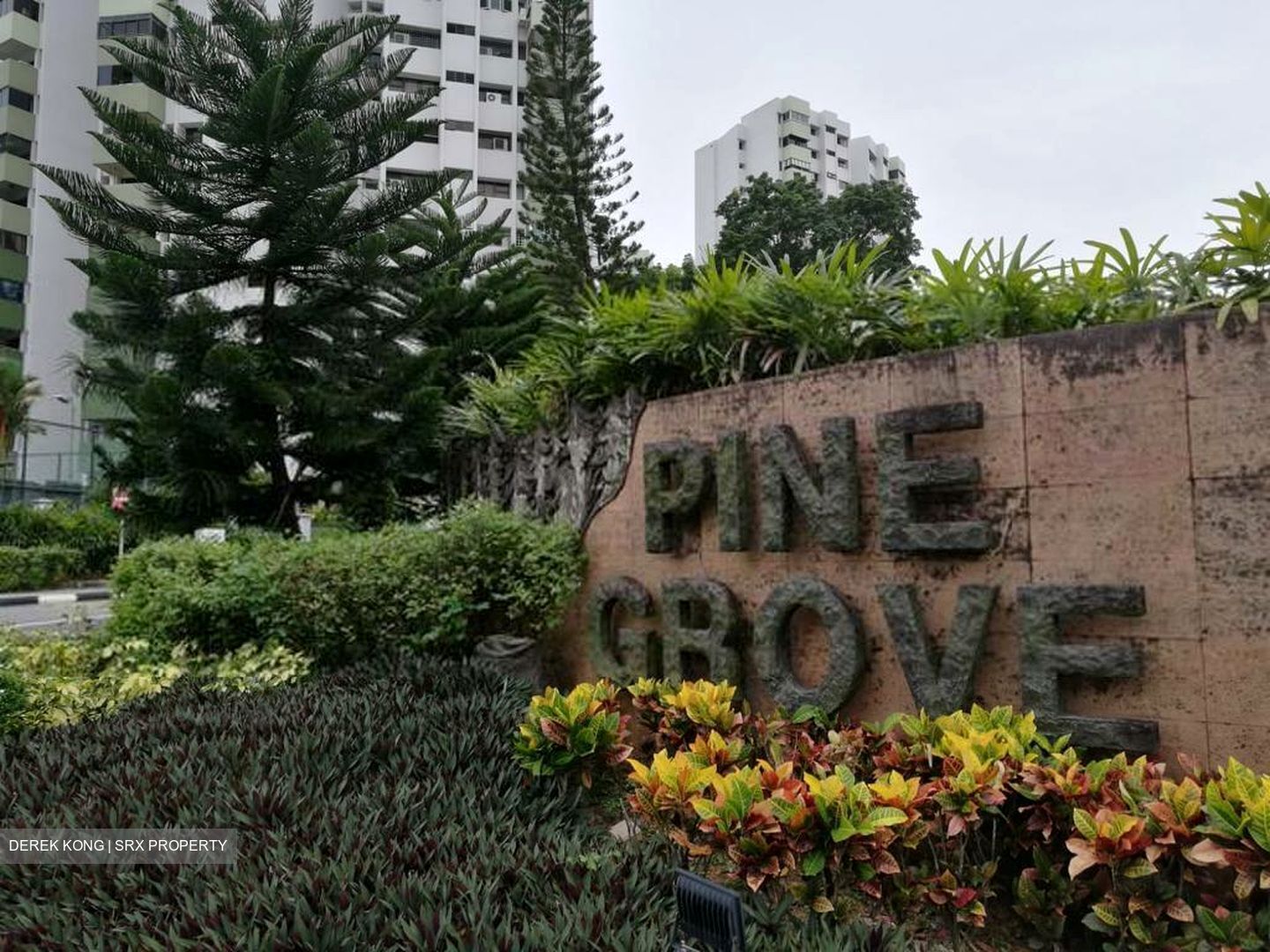 Pine Grove (D21), Condominium For Rent 91313741